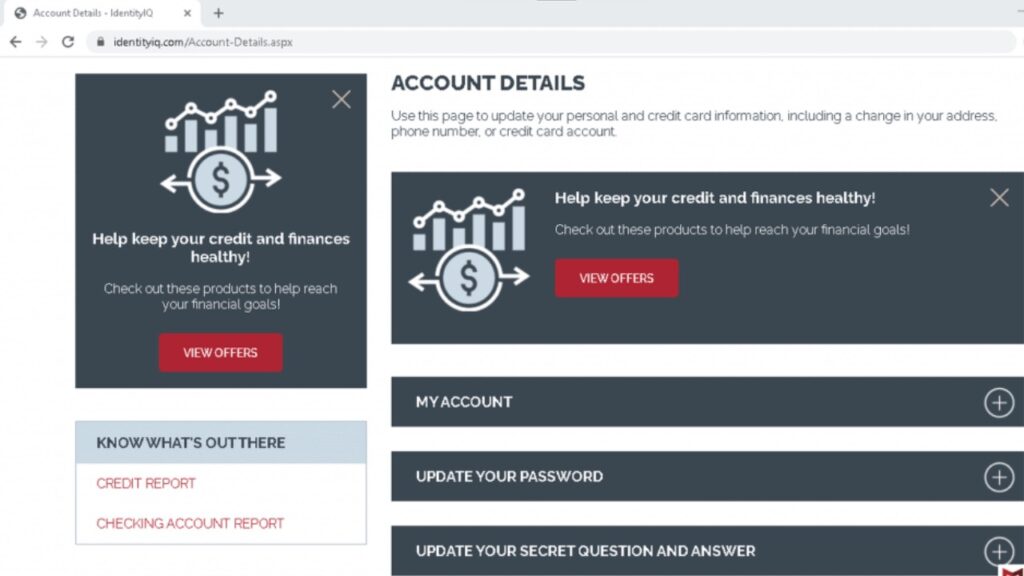 IdentityIQ Account Details